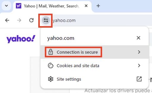 Access Website Properties in Google Chrome 124