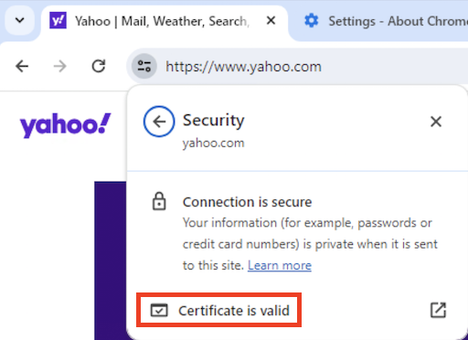 Access Website Security Info in Google Chrome 124