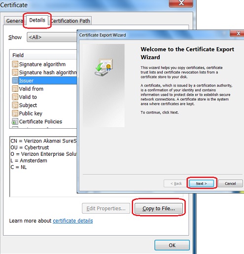 IE Export Server Certificate