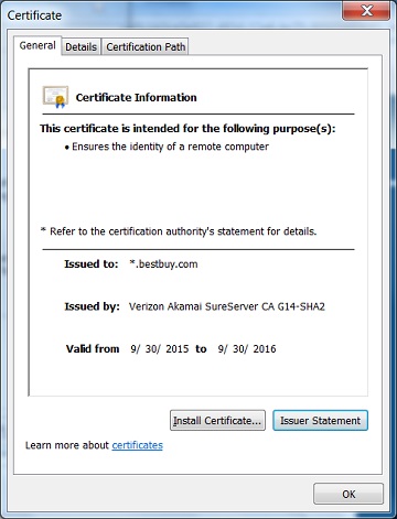 IE - View Server Certificate