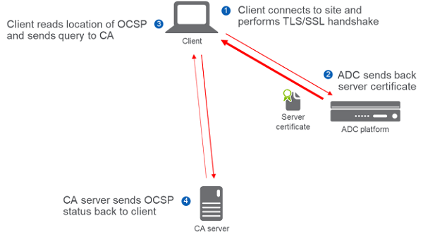 Certificate Status Check using OCSP